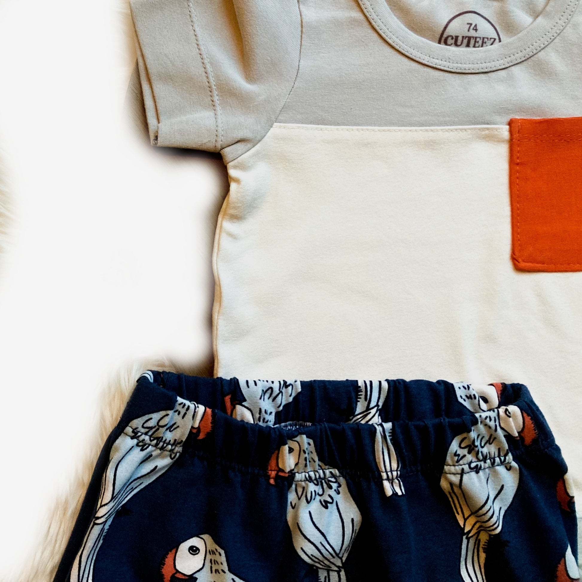 Detail van Jongens set grijs blauw met oranje detail en vogelprint. Leuke zomerkleding voor baby jongens van kinderkleding webshop Cuteez. 